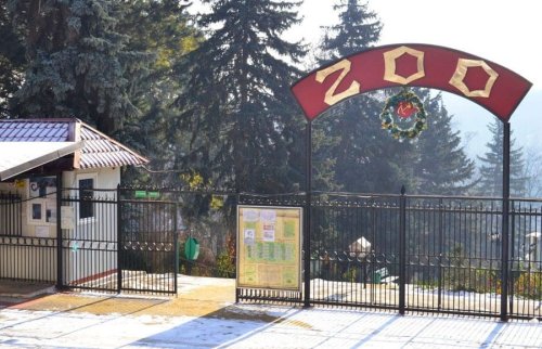 Un copil a suferit răni grave după căderea unui copac la Grădina Zoologică din Chișinău