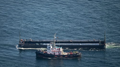 Almanya’da balina kurtarma operasyonu tamamlandı