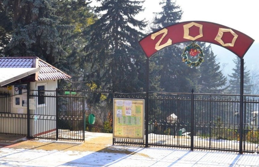 Un copil a suferit răni grave după căderea unui copac la Grădina Zoologică din Chișinău
