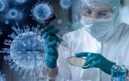 Avustralya’da kayıp virüs alarmı: laboratuvardan yüzlerce numune kayboldu